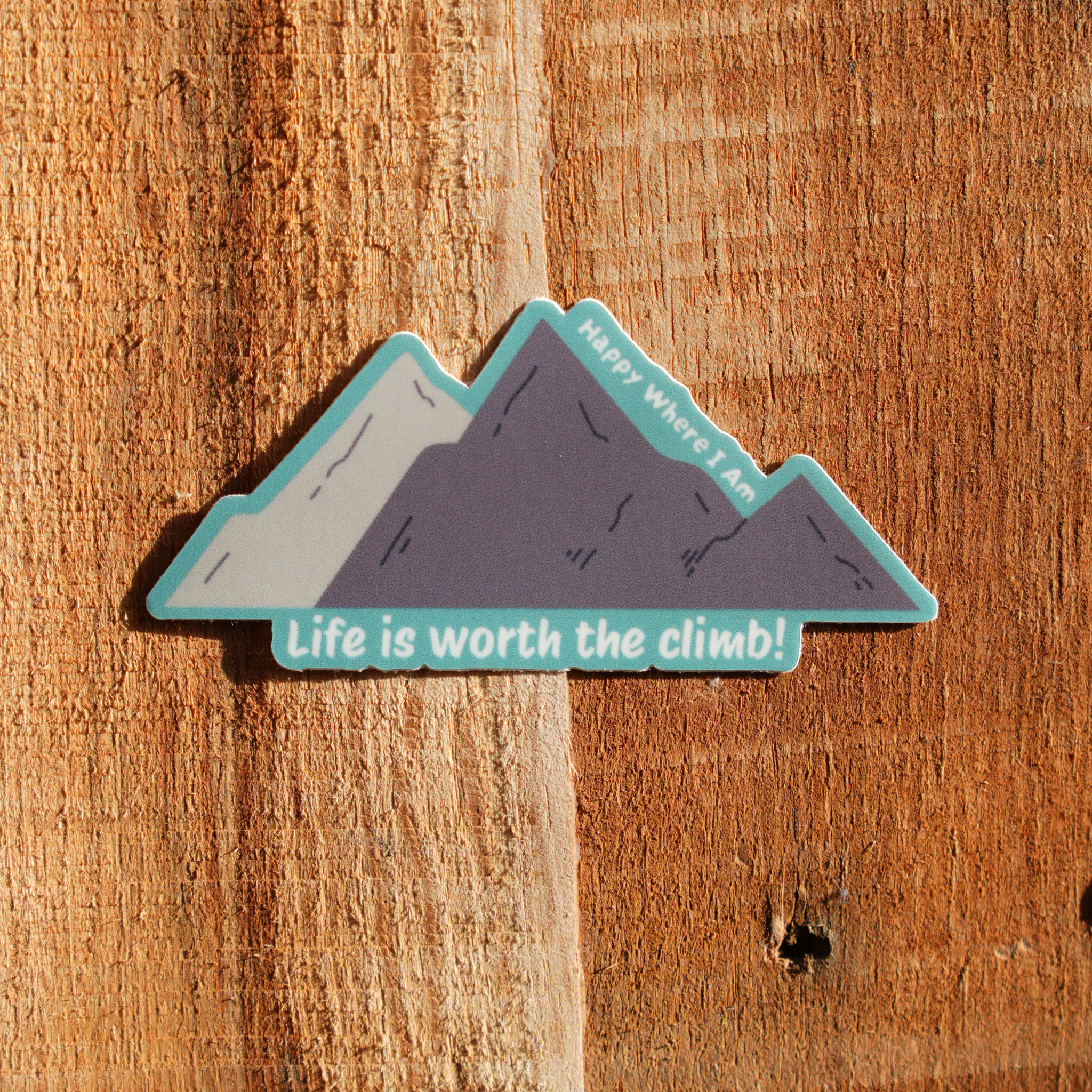 Life is worth the climb sticker